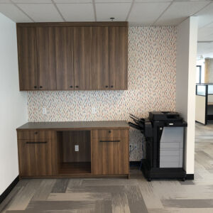 Health Standards Organization - Cassidy EW Construction