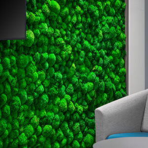 480 Boulevard de la Cite - Cassidy EW Construction