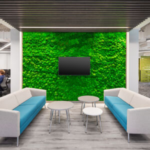 480 Boulevard de la Cite - Cassidy EW Construction